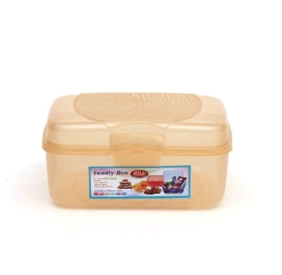family box with attached lid - family box -storage box and organizer