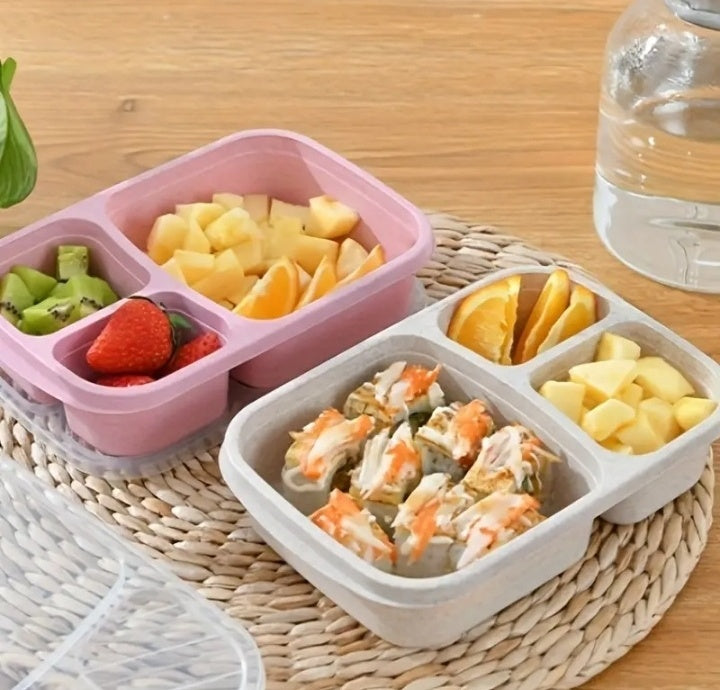 Lunch Box with two portions/Compartments, Best Meal box for Office/School/College